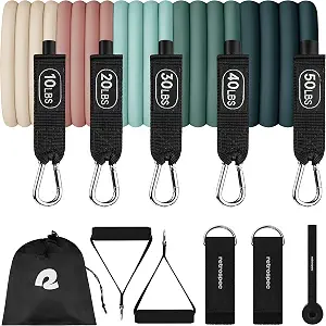 Retrospec Train Resistance Bands Set for Working Out - 5 Stackable Bands, Handles & Door Anchor - Portable Fitness Equipment for Physical Therapy & Yoga Includes Carry Bag
